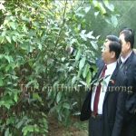Đồng chí Nguyễn Tất Thành Chủ tịch UBND huyện kiểm tra công tác chuẩn bị trồng cây và sản xuất vụ Xuân